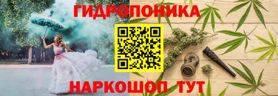 крисы Северобайкальск